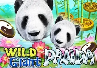 Wild Giant Panda thumbnail